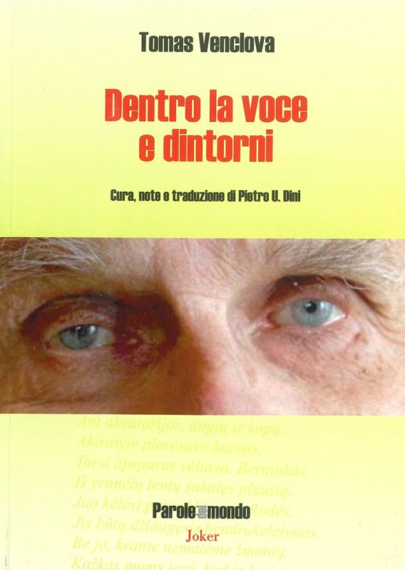 Dentro la voce e dintorni